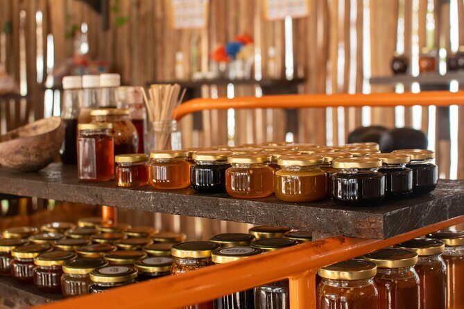 Otoch Mayan Experiences with Cenote Shared Guided Tour - Tequila Tasting: More Than 10 Varieties, Clear Age Rules