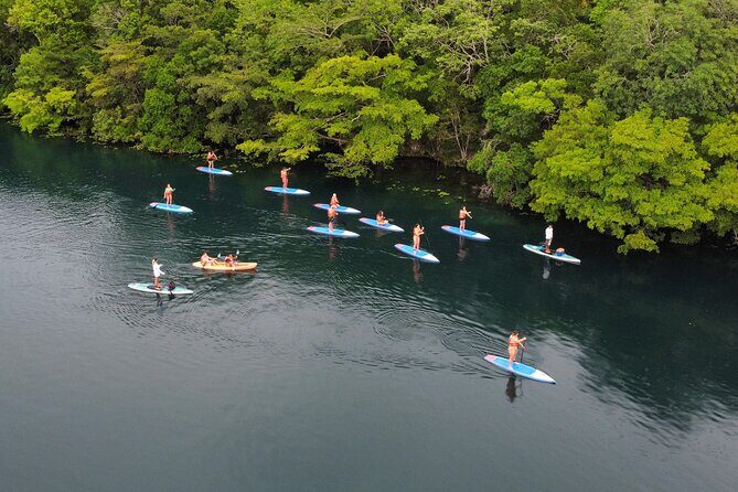 Paddle at Dawn with visit to Cenotes and Islands - Key highlights worth waking up for