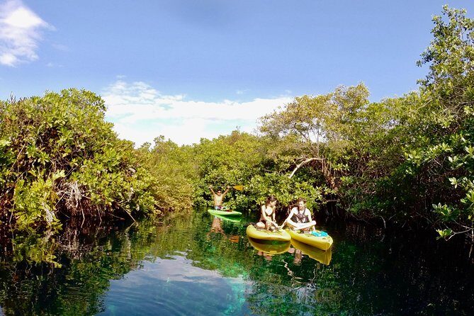 Paddleboard Cenote Tour - Your Route, Timing, and What Fills the 3–4 Hours
