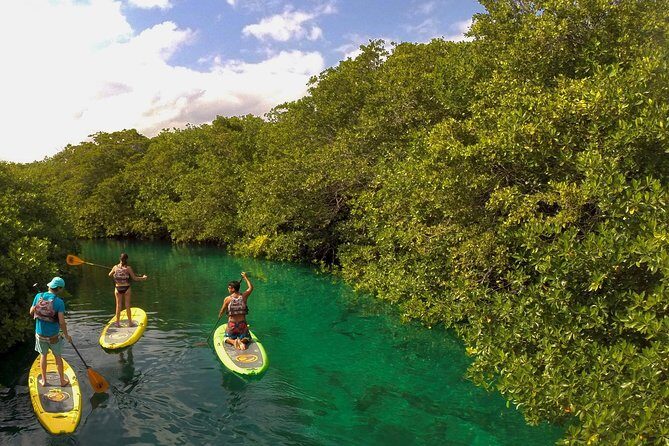 Paddleboard Cenote Tour - Beginner-Friendly Paddleboarding with a Certified Guide