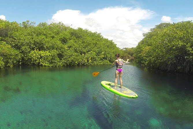 Paddleboard Cenote Tour - Transfers and Meeting Points: Tulum Center Pickup vs Downtown Start