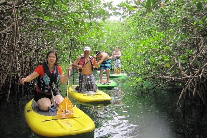 Paddleboard Cenote Tour - Who This SUP Cenote Tour Is Best For