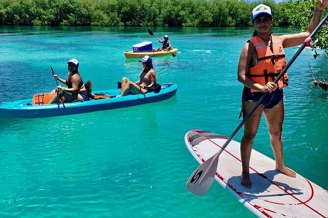 Paddleboard Kayak Tour in Cancun - Nichupté Lagoon: your guided route through Cancun’s mangroves