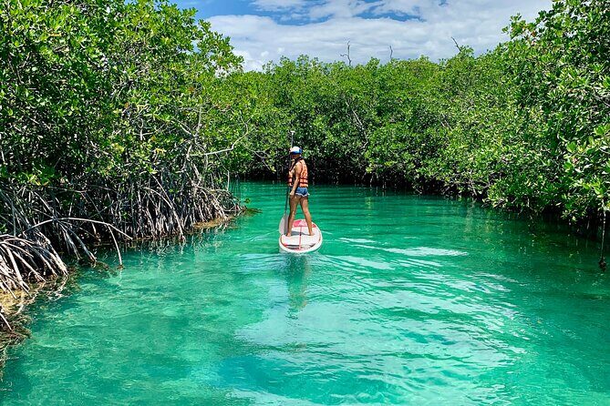Paddleboard Kayak Tour in Cancun - Why the small-group limit (12 people) matters on the water