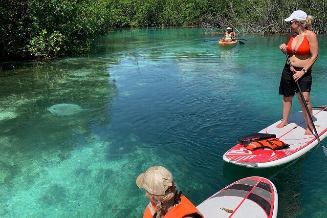 Paddleboard Kayak Tour in Cancun - Picking SUP or a kayak: which one fits your comfort level
