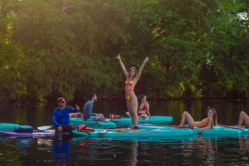 Paddleboard or kayak sunrise tour in Bacalar lagoon - Bird island at dawn: why this stop is more than a quick look