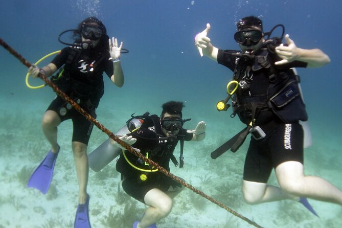 PADI Discover Scuba Diving for divers without certification - Isla Mujeres makes your first scuba session feel achievable