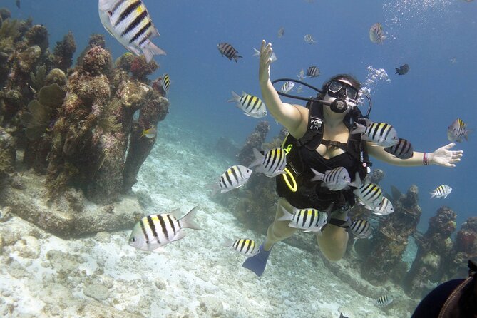 PADI Discover Scuba Diving for divers without certification - Training that actually helps: what you do at about 10m/33ft