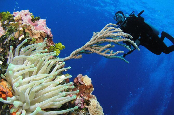 PADI Discover Scuba Diving in Playa del Carmen - Getting to ScubaCaribe and starting at Hotel Riu Yucatán