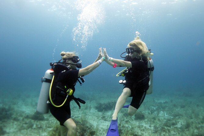 PADI Open Water Diver Course - PADI eLearning + in-water training: what you should expect