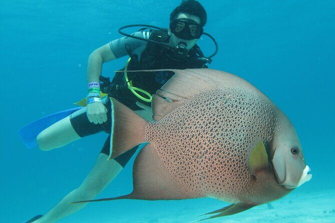 PADI Open Water Diving Certification Course Activity - Key highlights worth your attention