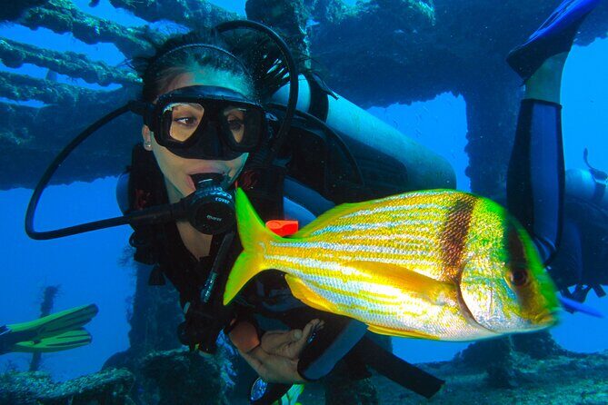 PADI Open Water Diving Certification Course Activity - Coconut Divers and your small-group instructor team