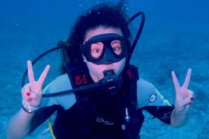 PADI Open Water Diving Certification Course Activity - Four ocean sessions, including MUSA