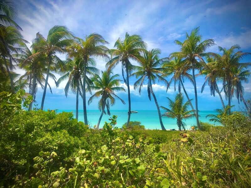 PARADISE ISLAND- ISLA CONTOY AND ISLA MUJERES - Isla Contoy and Isla Mujeres: how this 9-hour mix really feels