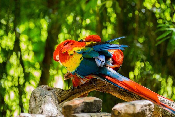 Park Xcaret Plus with Transportation from Cancun and Riviera Maya - Animals and marine viewing: plan time, not just a quick walk