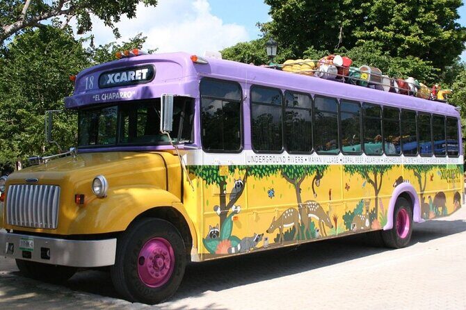 Park Xcaret Plus with Transportation from Cancun and Riviera Maya - Lunch is included: one meal and one soft drink