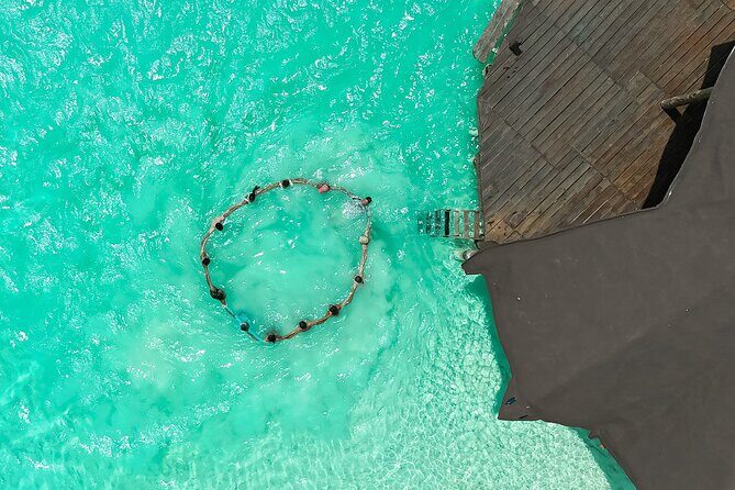 Photography and Filming with drone and camera - Price and value: $92.60 per group, up to 6 people