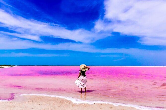 Pink Lake and Flamingo Sightseeing in Rio Lagartos - Why this pink-lake day starts so early in Cancun