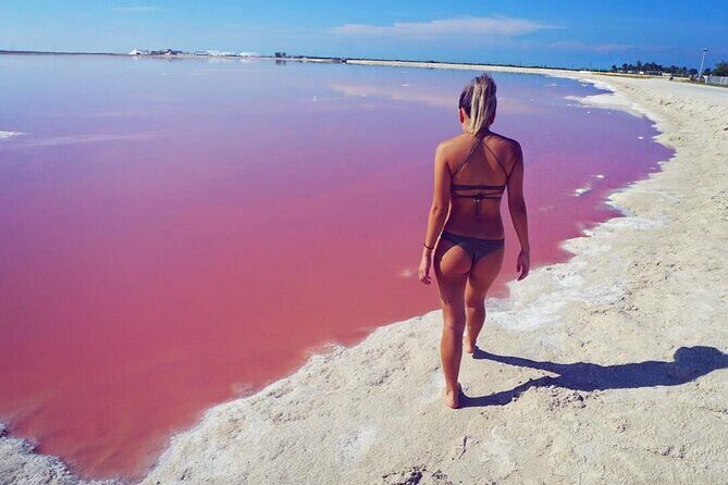 Pink Lake and Flamingo Sightseeing in Rio Lagartos - Price and value: $136 plus the Rio Lagartos tax