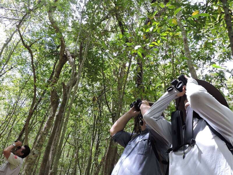 Playa del Carmen: Guided Birdwatching Hike - How much is $178 worth for a 6-hour birdwatching hike?
