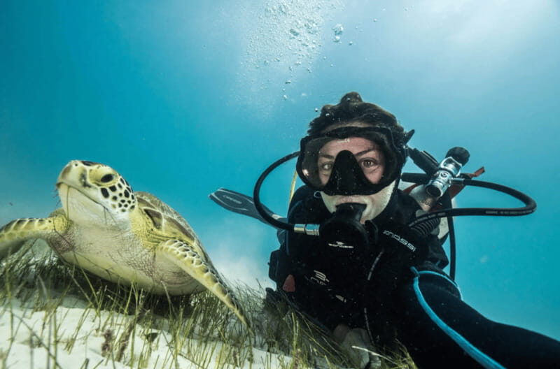 Playa del Carmen: Guided Reef Diving for Certified Divers - The 8-Hour Rhythm: Morning Timing, Safety Briefing, and Boat-to-Water Flow