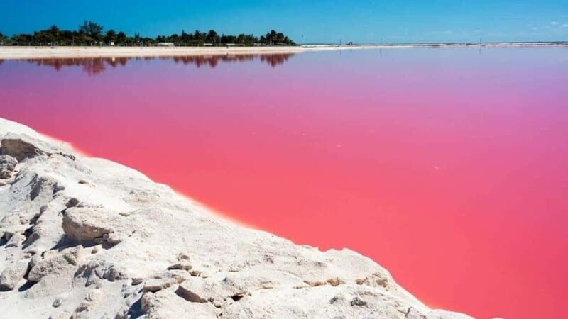 Playa del Carmen: Rio Lagartos and Las Coloradas Tour - Quick hits: what matters most on this tour