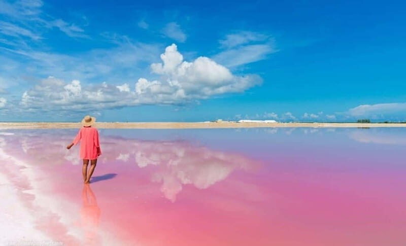 Playa del Carmen: Rio Lagartos and Las Coloradas Tour - FAQ