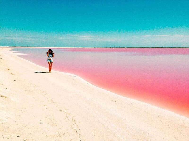 Playa del Carmen: Rio Lagartos and Las Coloradas Tour - Price and logistics: $142 is the start, not the finish