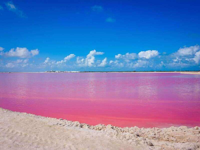 Playa del Carmen: Rio Lagartos and Las Coloradas Tour - What to bring (and who should skip this tour)
