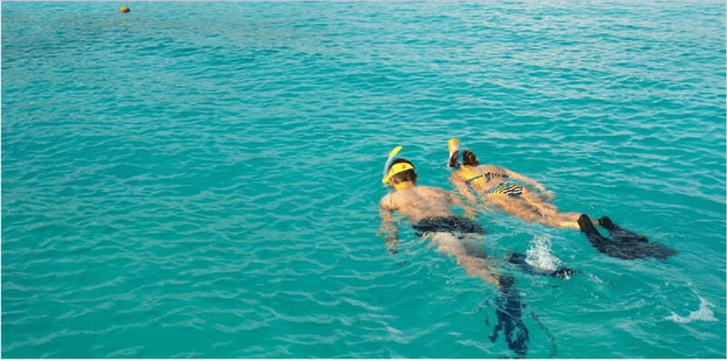 Playa del Carmen: Snorkel Tour at Local Reef - The 10-Minute Boat Ride: Short, Not Stressful