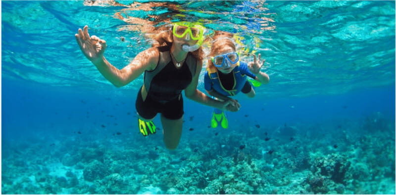 Playa del Carmen: Snorkel Tour at Local Reef - Safety Briefing and Small Groups: A Comfort Factor