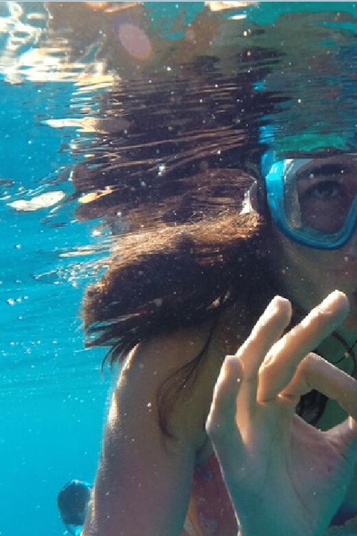 Playa del Carmen: Snorkel Tour at Local Reef - Cost and Value: $70, Included Gear, and the Marine Park Fee