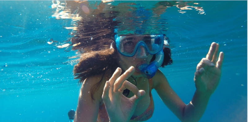 Playa del Carmen: Snorkel Tour at Local Reef - Meet at Calle 8 Norte and Get Geared Up