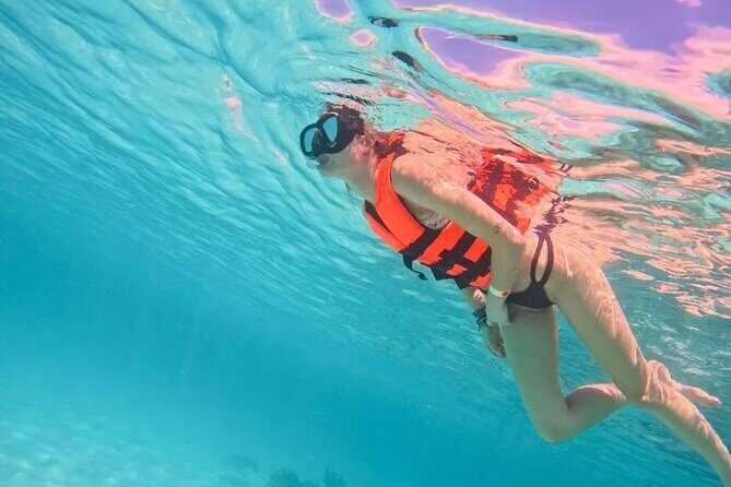 Playa del Carmen Tour Akumal Swimming With Turtles And Lagoon Yal Ku - Price and Value: Why $195.93 Can Make Sense