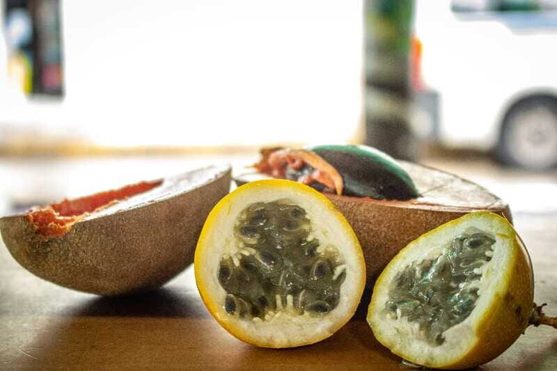 Playa del Carmen: Vegan Food Walking Tour - Key highlights you’ll feel right away