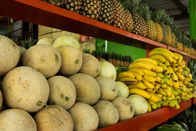 Playa del Carmen: Vegan Food Walking Tour - Why this 3-hour vegan walk is a smart first move in Playa del Carmen