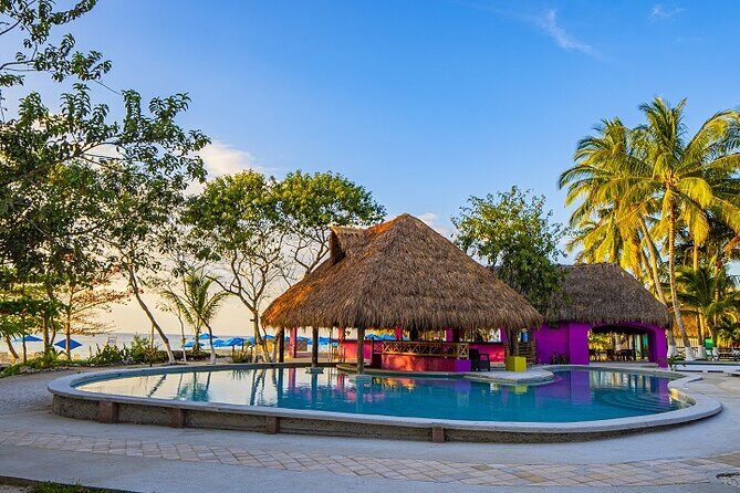 Playa Uvas Open Bar Exclusive Pass - Beach Club Comfort: Pool, Hammocks, Lounge Chairs, and Wi‑Fi