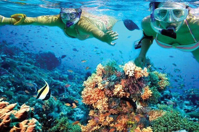 Plus Experience Isla Mujeres Tour - Meeting Point at Marina Las Perlas: The Quick Way to Avoid Stress
