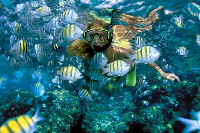 Plus Full Day Catamaran Tour to Isla Mujeres All Inclusive - Cancun pickup that keeps you out of the maze
