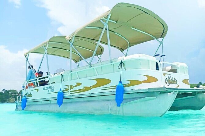 Pontoon Tour of the Bacalar Lagoon - Isla de los Pájaros: bird spotting with a pink spatula hope