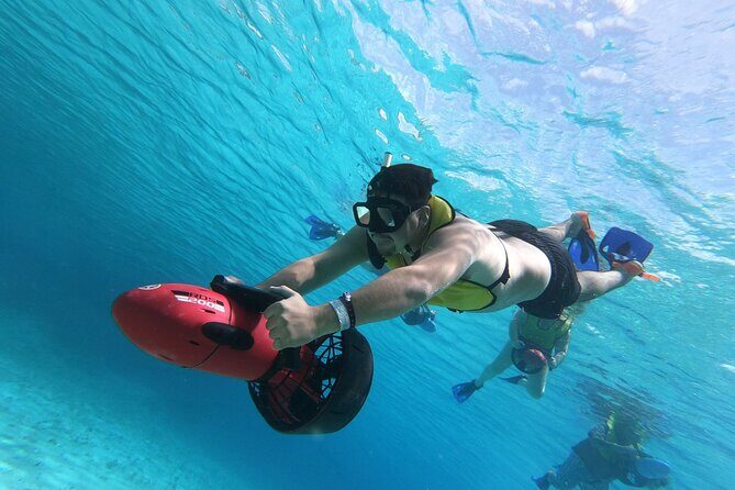 Power Snorkel By Sea Scooters & Tequila Tasting - Reef Time on Sea Scooters: Marine Life You’ll Likely See