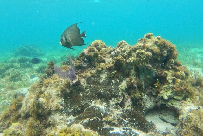 Premium Isla Mujeres Tour by Private Catamaran - Comfort and motion: the practical stuff you should plan for