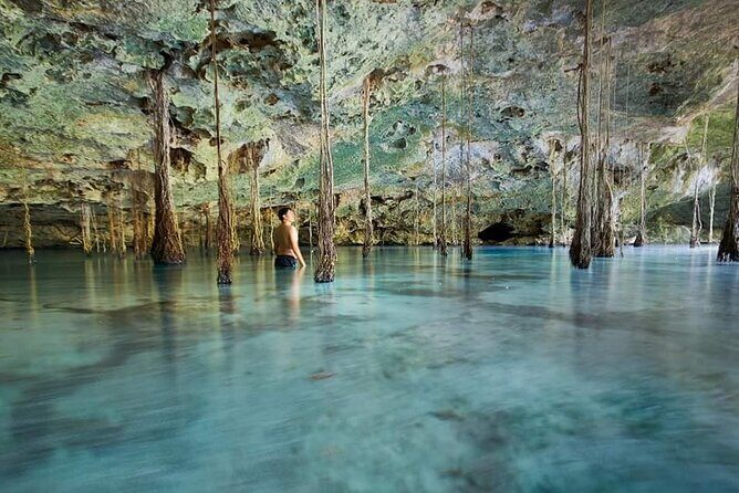 Private 4Cenote Experience, swim in the heart of the Mayan Jungle - Key highlights worth clocking