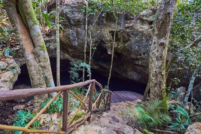 Private 4Cenote Experience, swim in the heart of the Mayan Jungle - The guide experience: George’s early timing and photo help