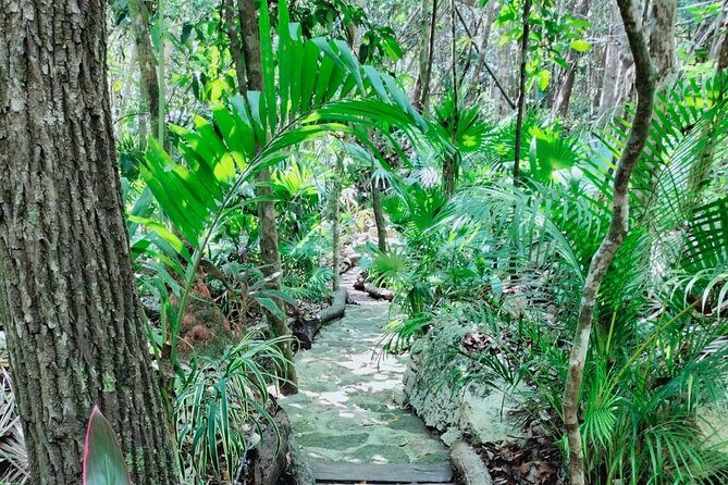 Private 4Cenote Experience, swim in the heart of the Mayan Jungle - Transport comfort: van, AC, and keeping the day easy