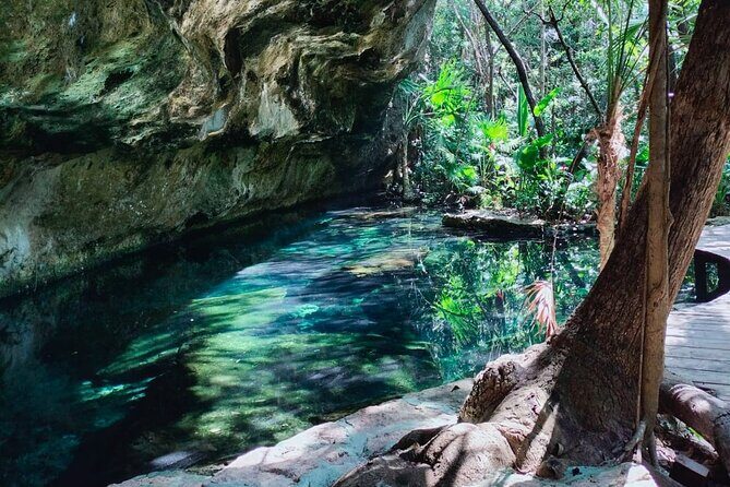 Private 4Cenote Experience, swim in the heart of the Mayan Jungle - Snorkeling gear included: how to make the most of your swim time