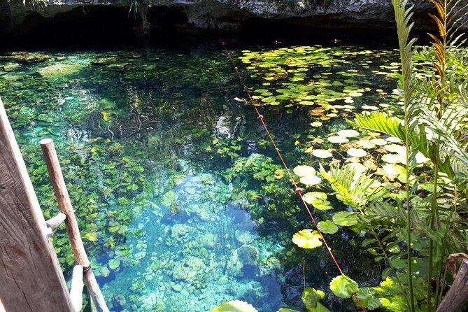 Private Akumal & Cenotes tour - Cenote Taak Bi Ha: the swim break that changes the whole mood