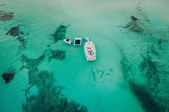 Private All Inclusive Sunset DJ Cruise – 51' Leopard Cancun - Food and open bar value check: chef dinner that fits the mood