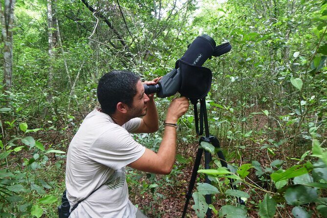 Private Birdwatching Tour in Sian Ka'an Muyil - Muyil archaeological site: trade-post history plus birding time