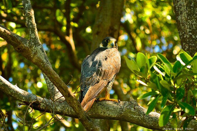 Private Birdwatching Tour in Sian Ka'an Muyil - Sian Ka’an Biosphere Reserve: the lagoon boat and lazy-float option